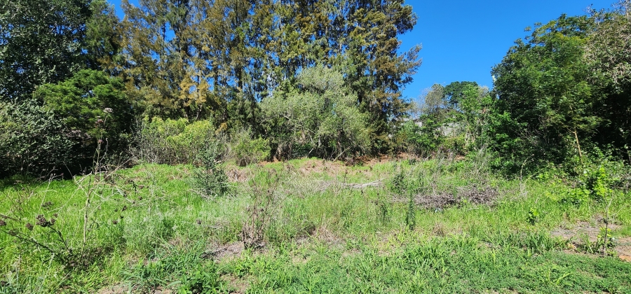 0 Bedroom Property for Sale in Swellendam Western Cape